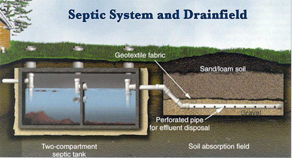 Keeping Roots out of the Septic System